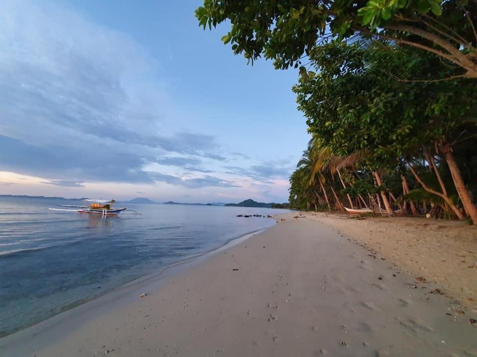 Mariejoy Haven Beach Resort San Vicente  Eksteriør billede